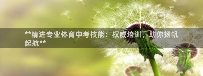 极悦平台官方网站下载：**精进专业体育中考技能：权威