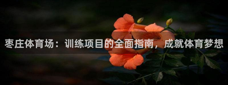 极悦平台是什么公司