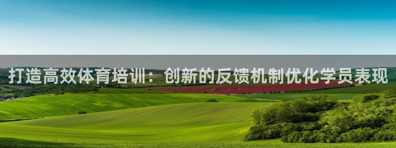 极悦平台是干什么的：打造高效体育培训：创新的反馈机制