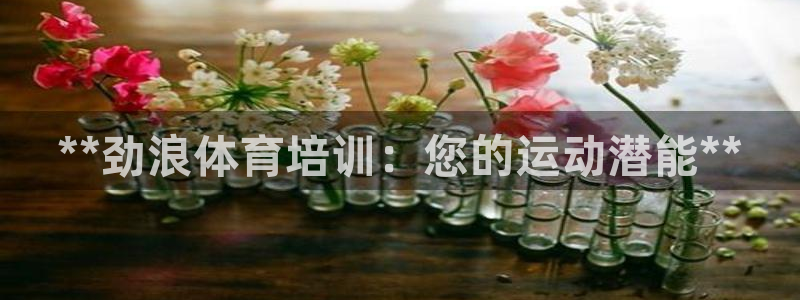 极悦平台注册登录：**劲浪体育培训：您的运动潜能**