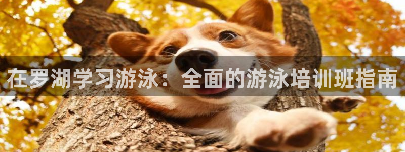 极悦平台注册登录不了：在罗湖学习游泳：全面的游泳培训