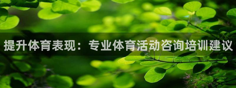 极悦牙膏好吗：提升体育表现：专业体育活动咨询培训建议