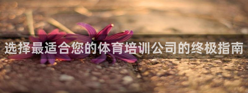 极悦娱乐官网客服联系方式：选择最适合您的体育培训公司
