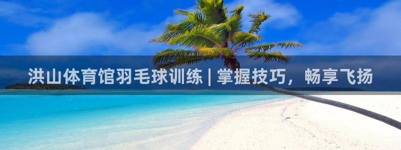 极悦注册：洪山体育馆羽毛球训练 | 掌握技巧，畅享飞