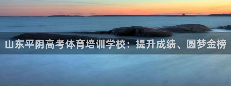 极悦官方网站入口网址是多少：山东平阴高考体育培训学校