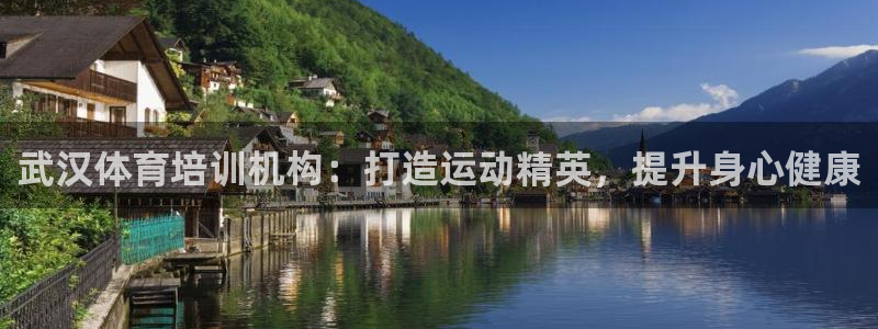 极悦平台德711.112的更新内容：武汉体育培训机构