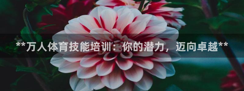 极悦平台和蓝狮平台区别在哪：**万人体育技能培训：你