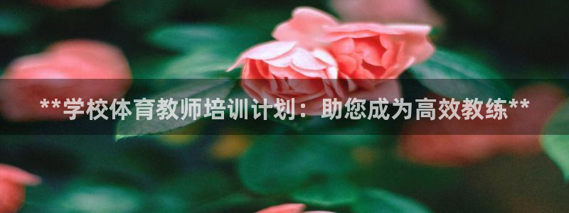 极悦官网的登录方法：**学校体育教师培训计划：助您成