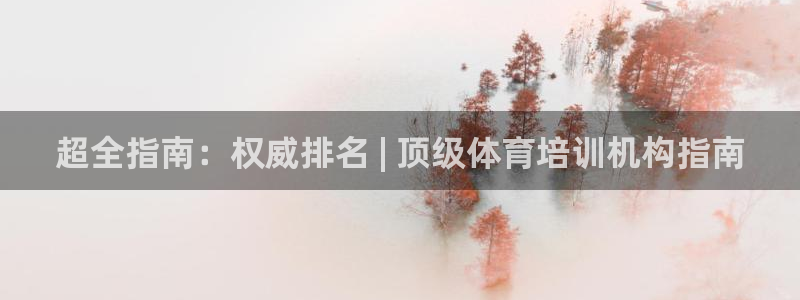 极悦平台是干什么的：超全指南：权威排名 | 顶级体育
