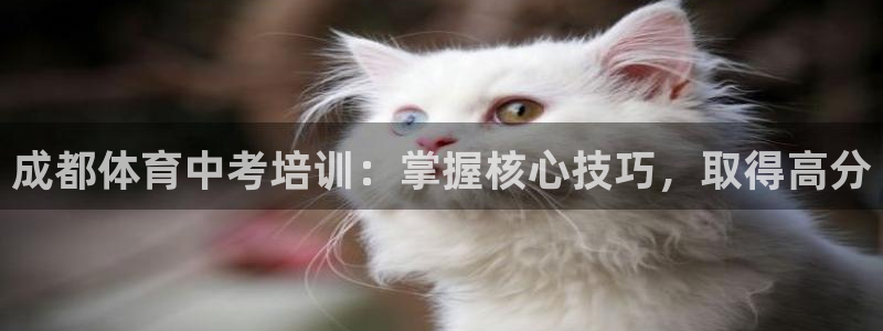 极悦平台是什么：成都体育中考培训：掌握核心技巧，取得