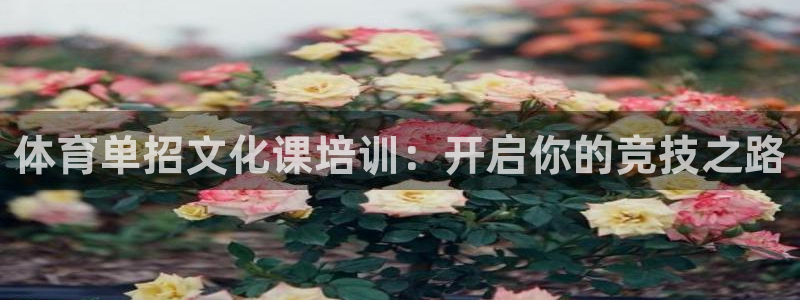 极悦平台登录方式有哪些：体育单招文化课培训：开启你的