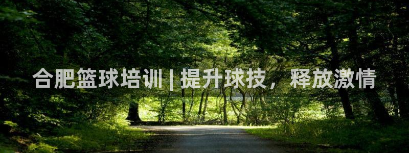 极悦娱乐官网入口