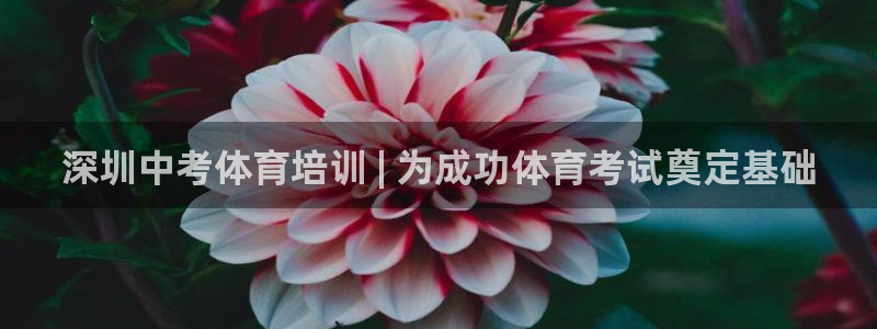 极悦平台注册官网：深圳中考体育培训 | 为成功体育考