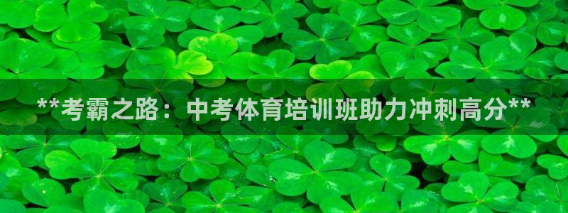 极悦平台代理：**考霸之路：中考体育培训班助力冲刺高