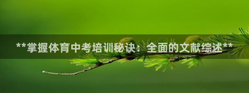 极悦平台代理怎么做的