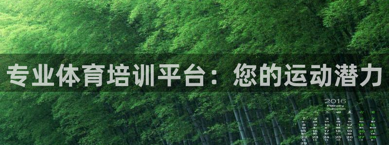 极悦娱乐负责人怎么样：专业体育培训平台：您的运动潜力