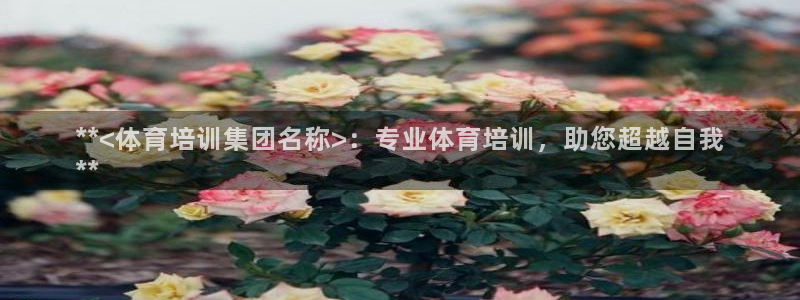 极悦平台是什么：**<体育培训集团名称>：专业体育培