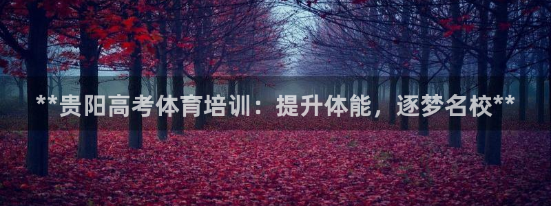 极悦娱乐负责人是谁：**贵阳高考体育培训：提升体能，
