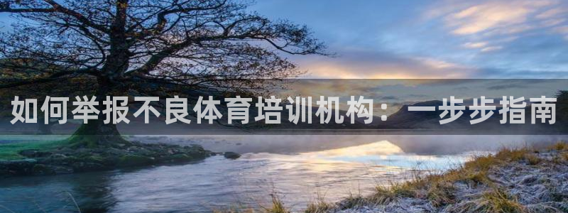 极悦平台注册用户名验证：如何举报不良体育培训机构：一