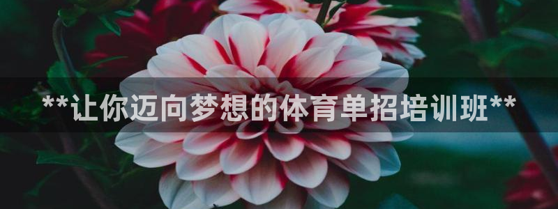 极悦平台注册用户名格式：**让你迈向梦想的体育单招培