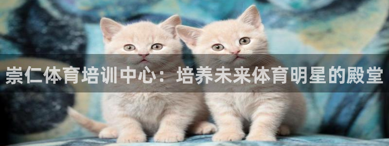 极悦平台用户反馈和反馈的区别：崇仁体育培训中心：培养