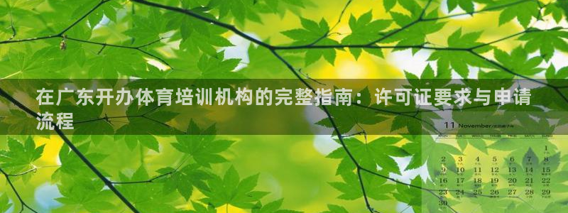 极悦官方网站入口网址：在广东开办体育培训机构的完整指