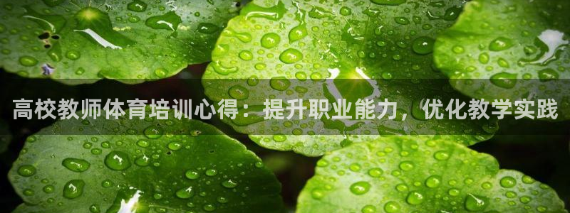 极悦平台有风险吗现在：高校教师体育培训心得：提升职业