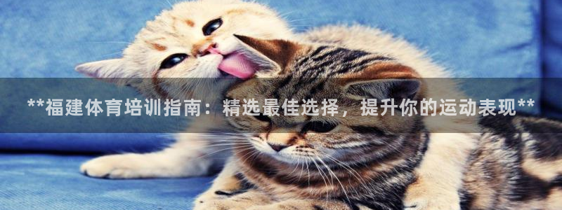极悦娱乐下载官网：**福建体育培训指南：精选最佳选择