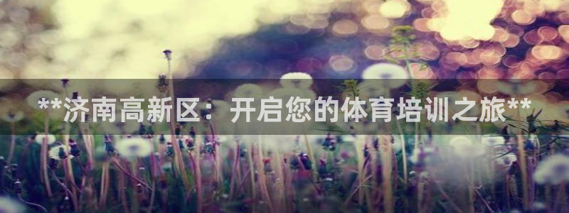 极悦官网的登录方法有哪些：**济南高新区：开启您的体