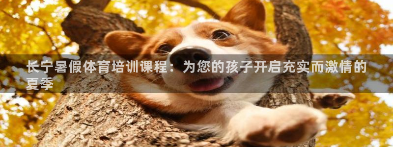 极悦平台是什么平台的：长宁暑假体育培训课程：为您的孩