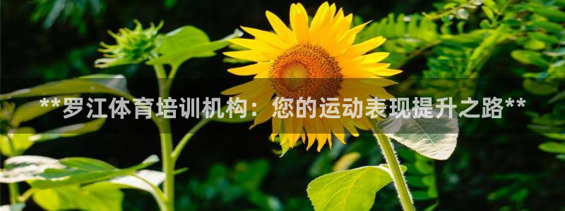 极悦娱乐代理怎么样可靠吗：**罗江体育培训机构：您的