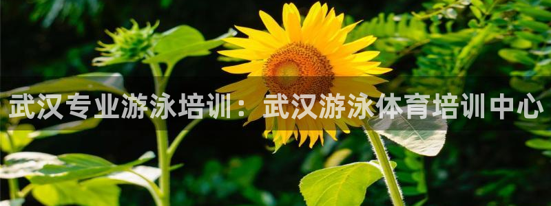 极悦娱乐会被骗吗是真的吗：武汉专业游泳培训：武汉游泳