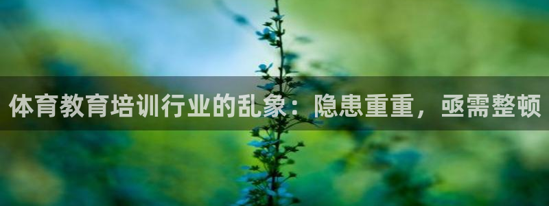 极悦平台注册失败如何解决：体育教育培训行业的乱象：隐