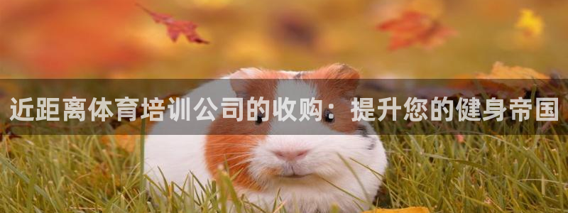 极悦平台代理怎么做：近距离体育培训公司的收购：提升您