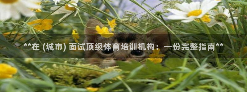 极悦官网的登录方法有哪些：**在 (城市) 面试顶级