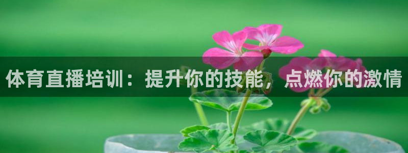 极悦平台官网登录：体育直播培训：提升你的技能，点燃你