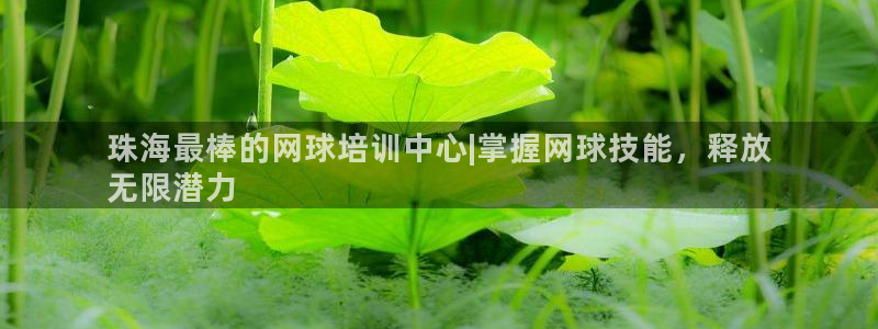 极悦娱乐的创始人背景故事是什么：珠海最棒的网球培训中
