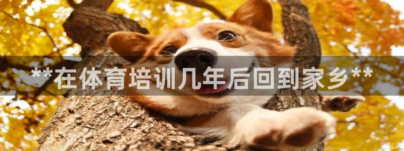 极悦娱乐官网入口网址：**在体育培训几年后回到家乡**