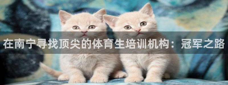 极悦平台客服的联系方式：在南宁寻找顶尖的体育生培训机构：冠军