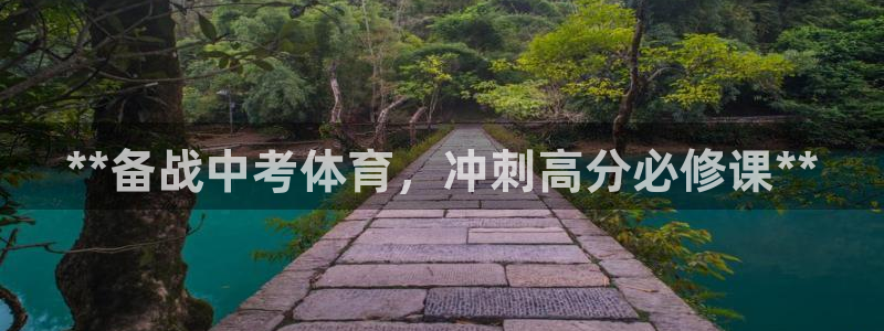 极悦娱乐股东
