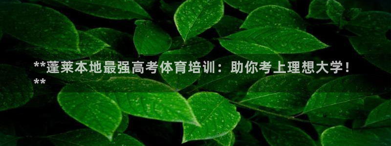 极悦娱乐代理人是谁呀