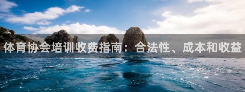 极悦平台登录不进去怎么回事：体育协会培训收费指南：合