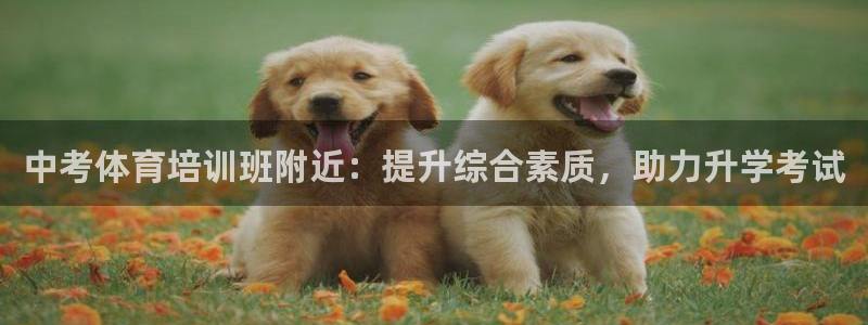 极悦娱乐官方网站