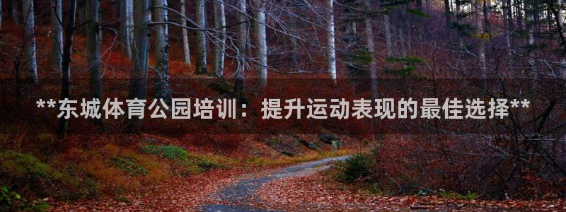 极悦平台注册和登录页面：**东城体育公园培训：提升运