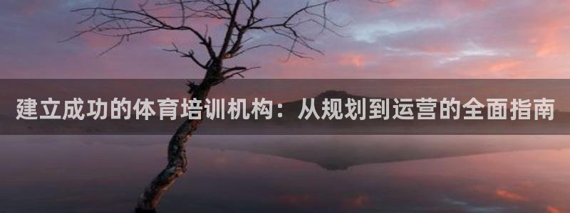 极悦平台股东名单：建立成功的体育培训机构：从规划到运