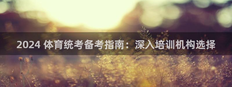 极悦娱乐官方网站首页：2024 体育统考备考指南：深入培训机