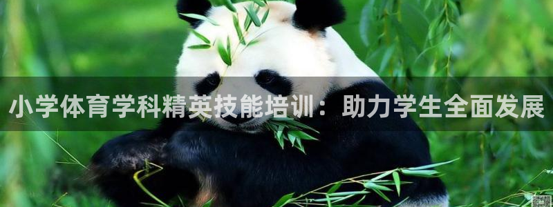 极悦平台注册官方网站下载安卓版：小学体育学科精英技能