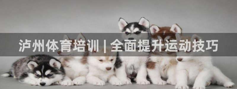 极悦平台官网入口登录：泸州体育培训 | 全面提升运动