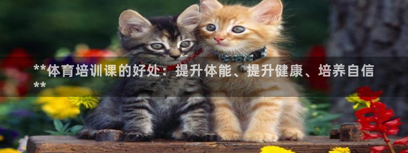 极悦娱乐官网下载app：**体育培训课的好处：提升体