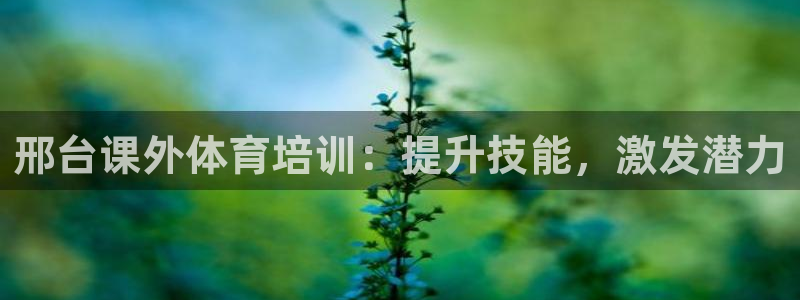 极悦平台的注册流程及注意事项：邢台课外体育培训：提升